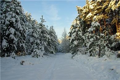 《盟军敢死队：起源》玩法概述预告 年内发售