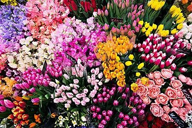 《罗布乐思》开发商融资 2500 万美元 目标直指元宇宙